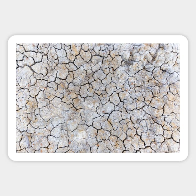 Dry and swollen earth texture Sticker by textural